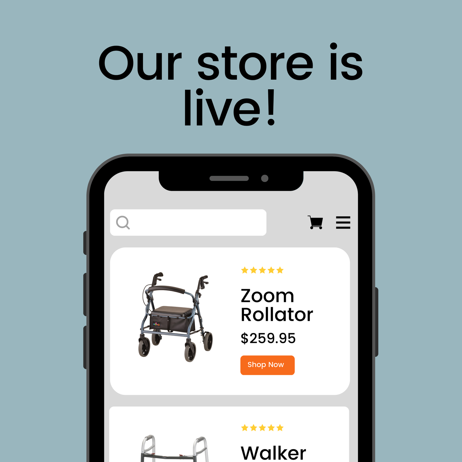 Exciting News for 2024: Online Store Launch!